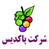 اجرای کفسازی پاکدیس